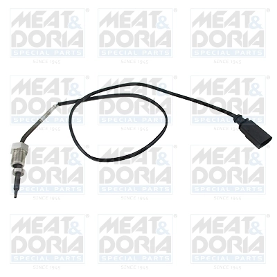 Sensor, exhaust gas temperature
